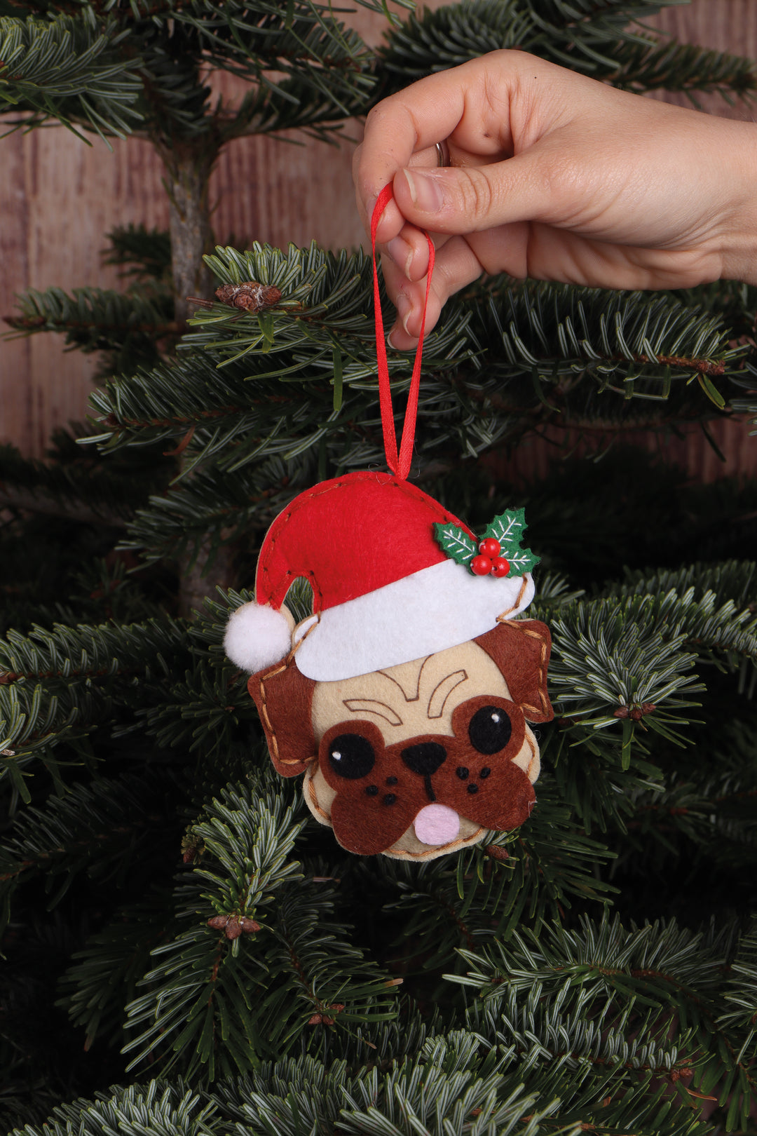 Felt Decoration Kit: Pug in Santa Hat