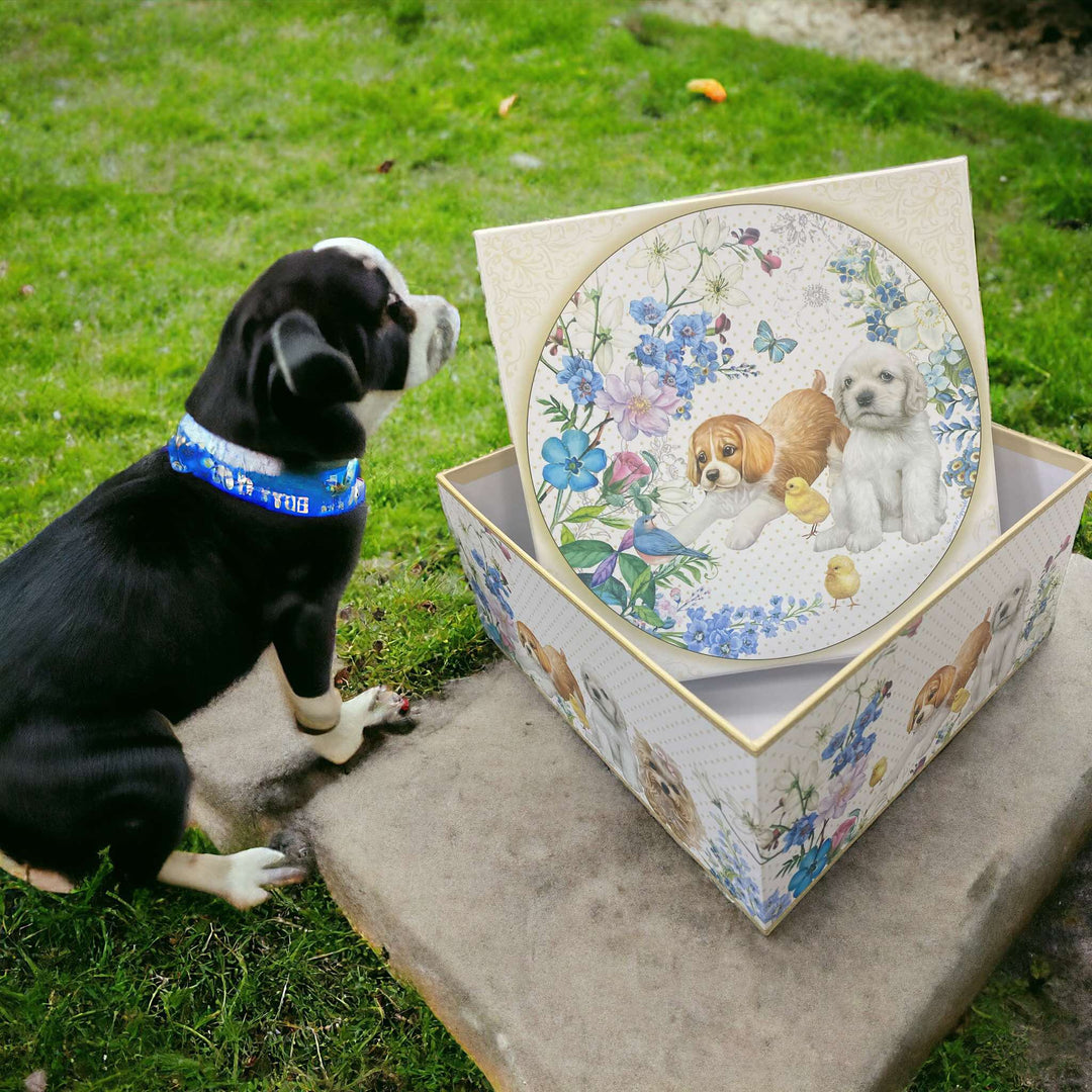 Dog Square Cardboard Gift/Storage Box L