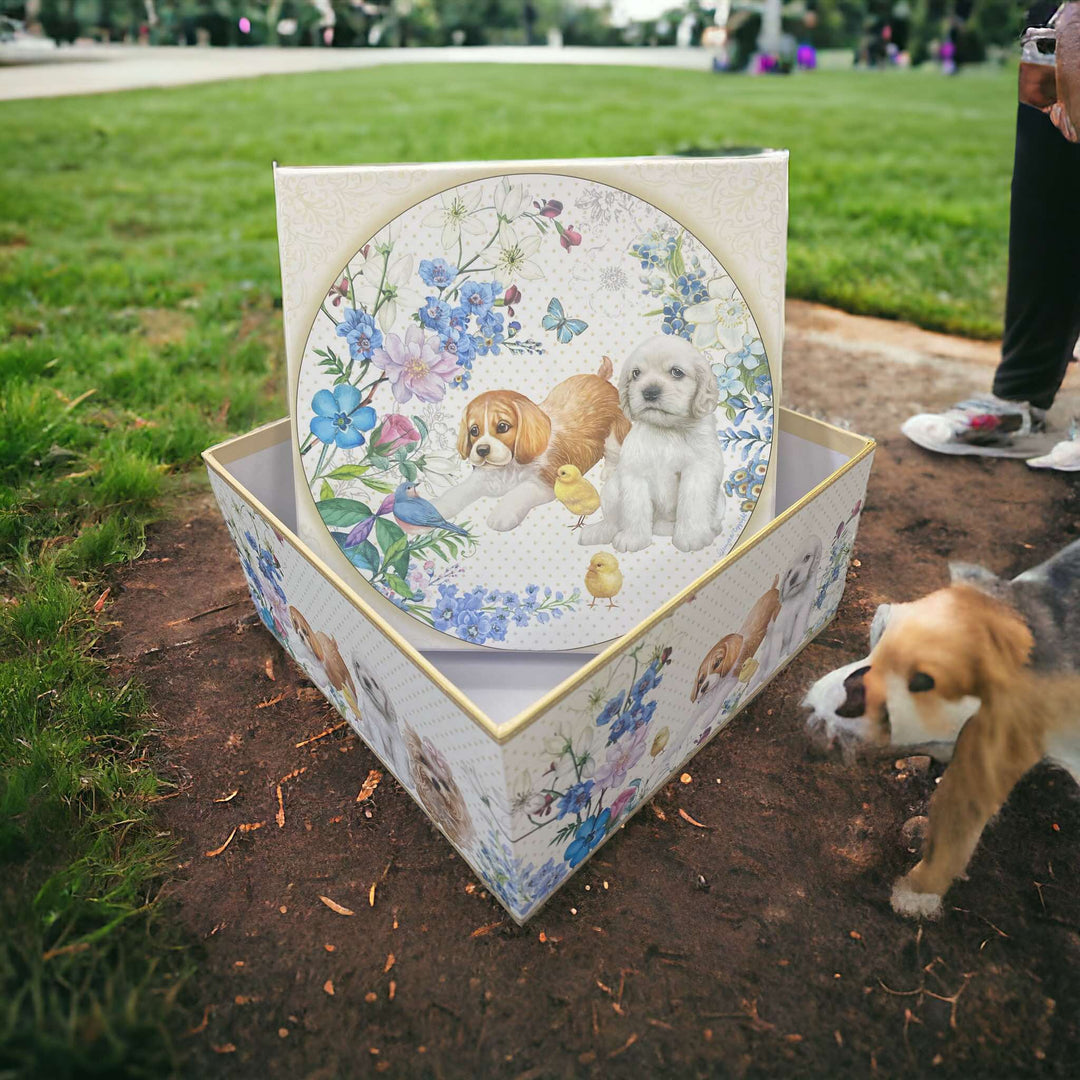 Dog Square Cardboard Gift/Storage Box M