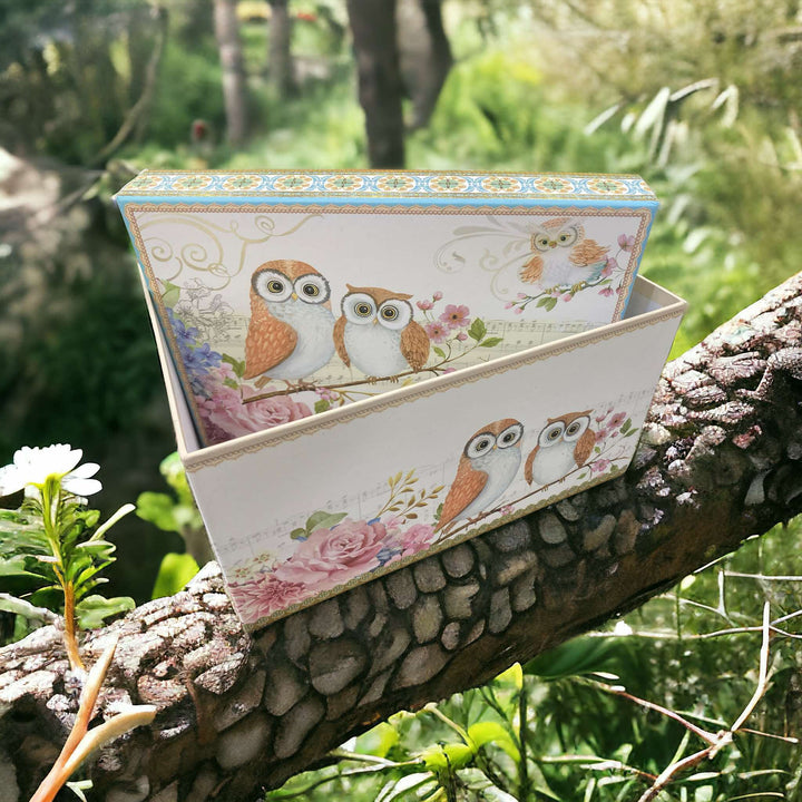 Owl Rectangular Cardboard Gift/Storage Box L