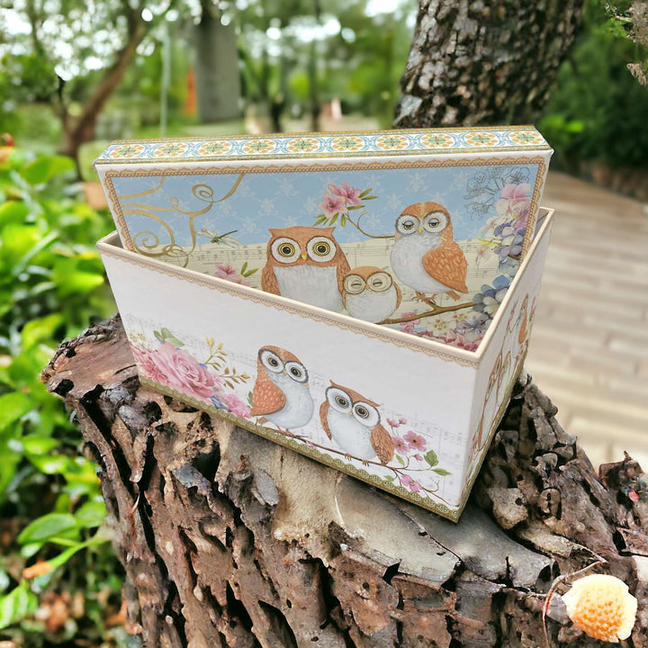 Owl Rectangular Cardboard Gift/Storage Box M