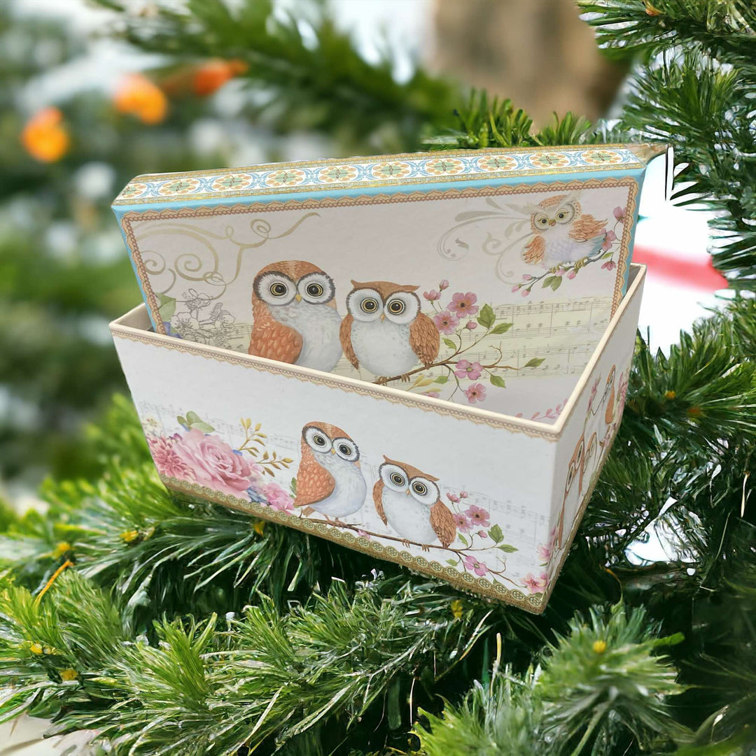 Owl Rectangular Cardboard Gift/Storage Box S