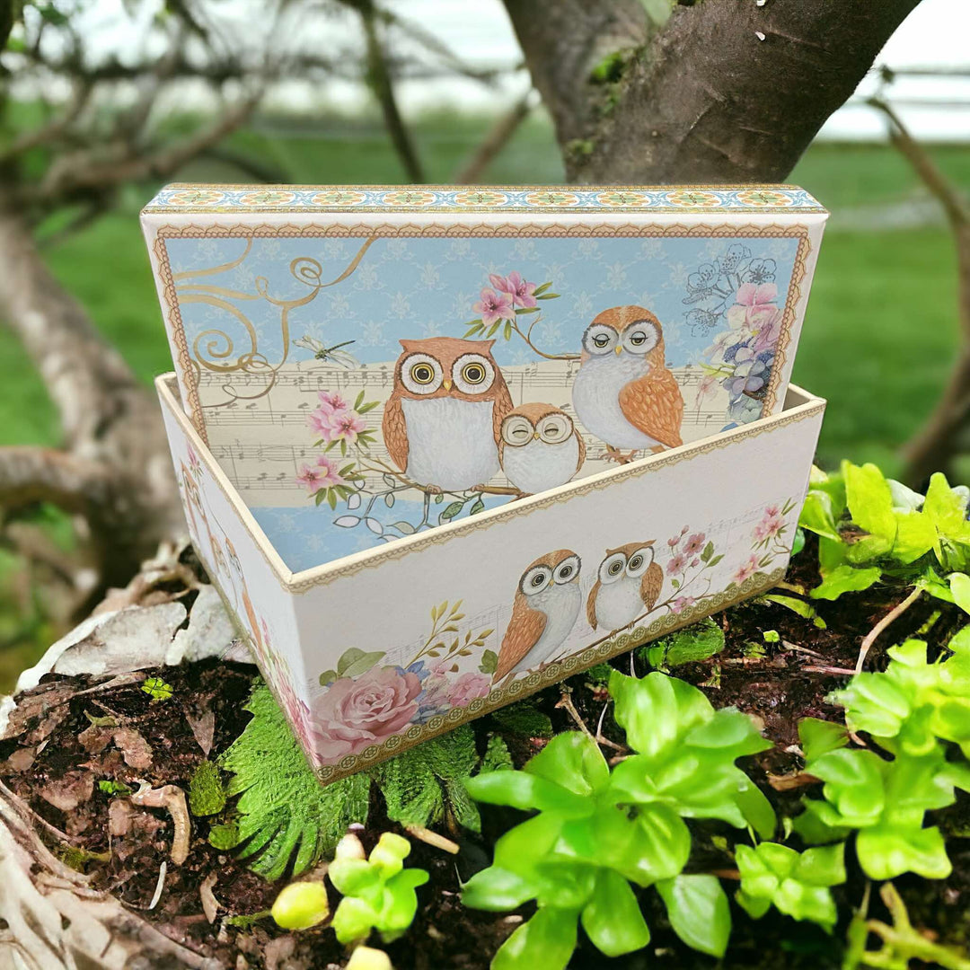 Owl Rectangular Cardboard Gift/Storage Box XS