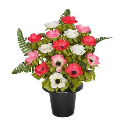 29Cm Frontal Anemone X16 Grave Pot Red */Cream