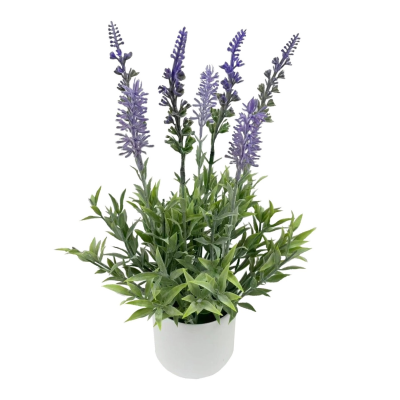 34Cm Lavender Bush In Pot